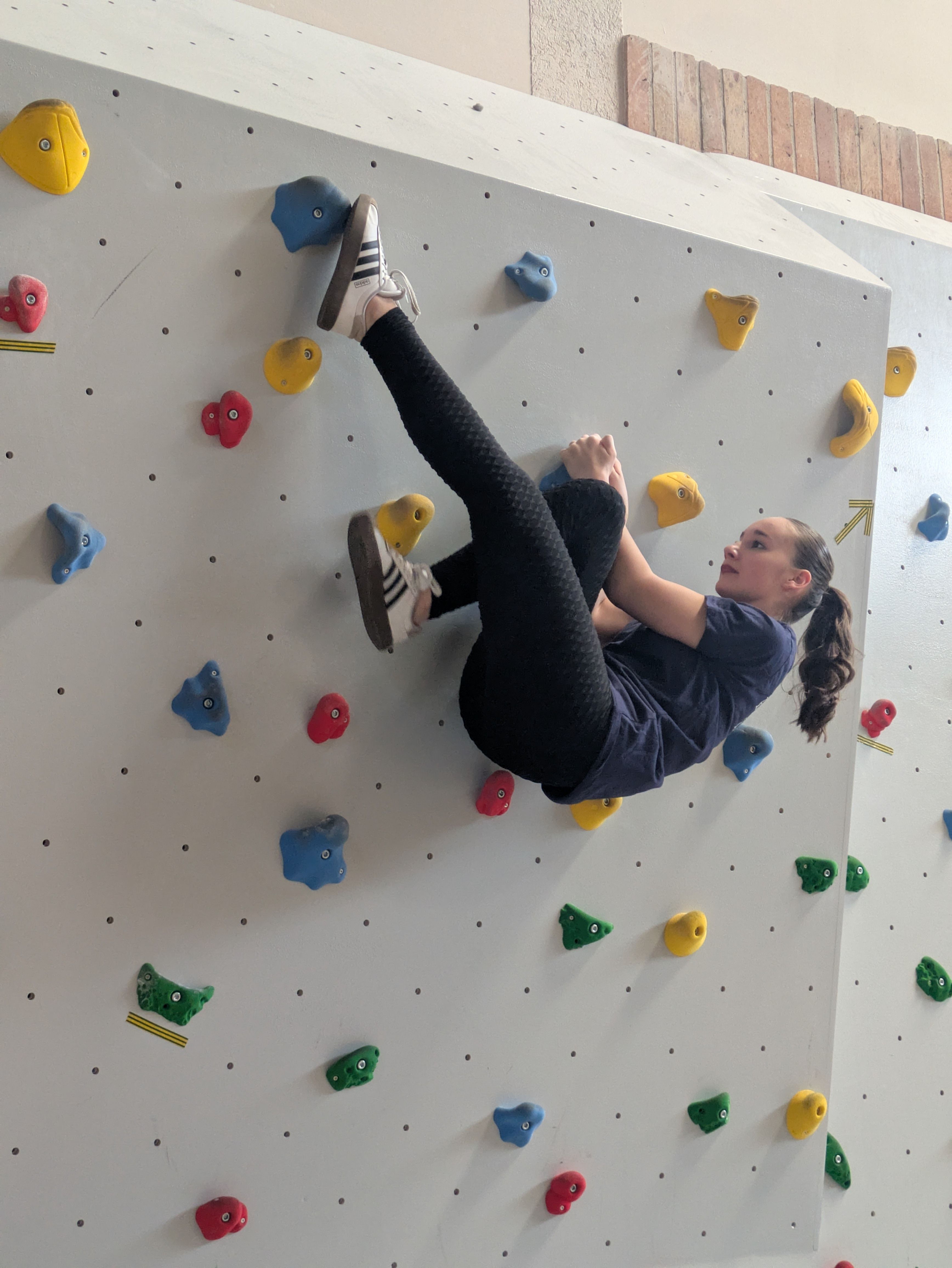 Új mászófal az Eötvösben