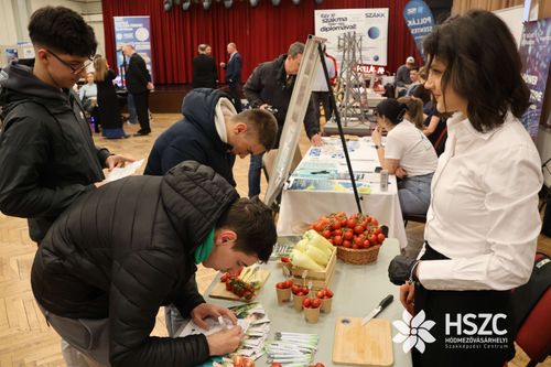 Szentesi Cégek Piaca 2026