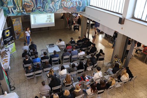 Cégek Piaca-Sághy-2026