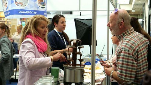 Hova? Tovább! IV. Délmagyarország Állásbörze